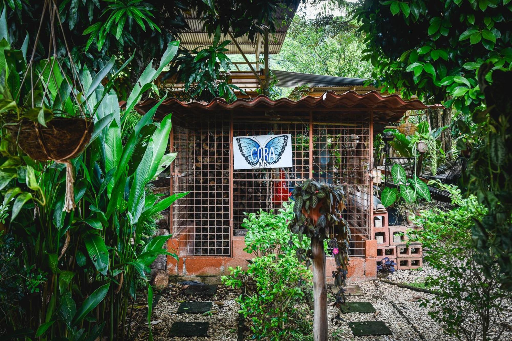 Casa Cora Bed And Breakfast Carmona Exterior photo